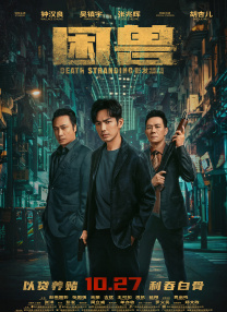 表姐们